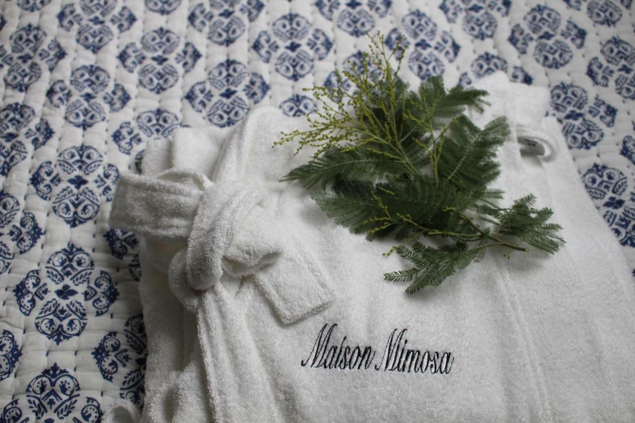 Névez Maison Mimosa المظهر الخارجي الصورة